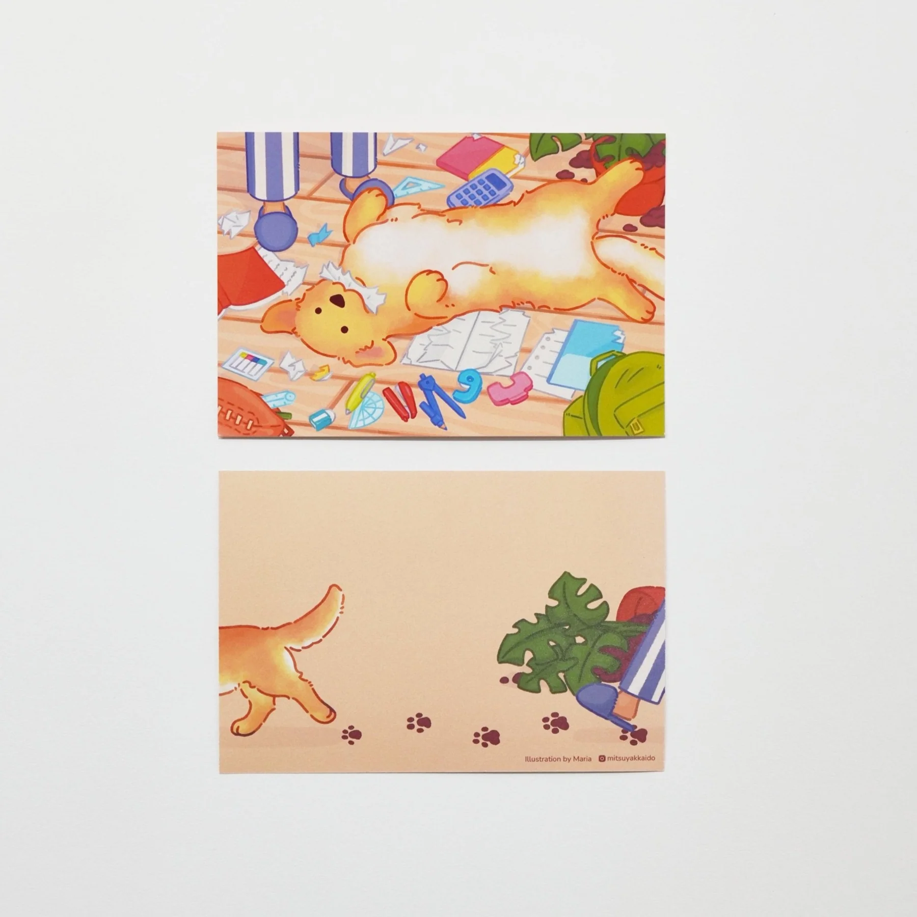 2025 Postcards Bundle / Bungu - Image 9