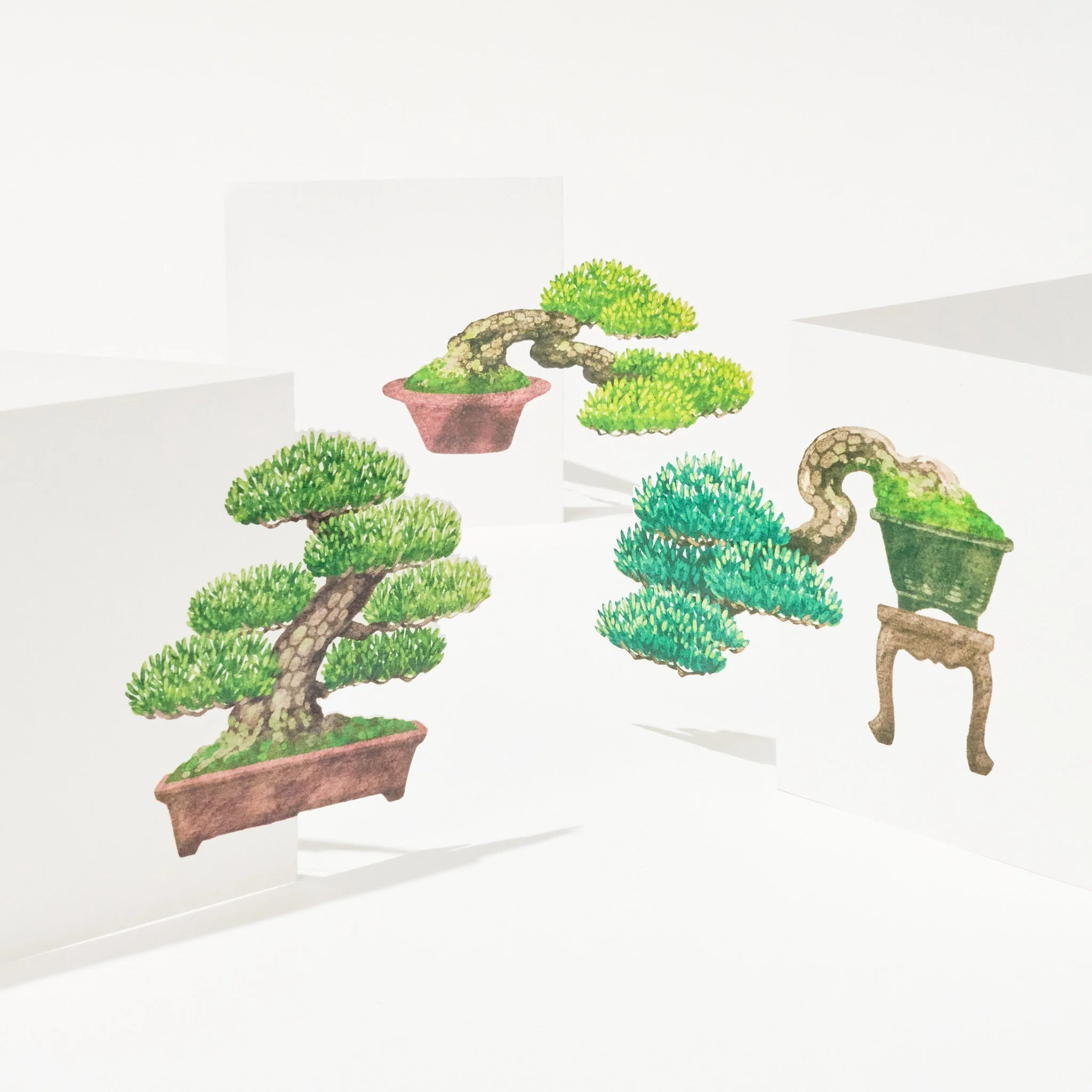 Bonsai Die-Cut Memo Pad / Marumo Printing