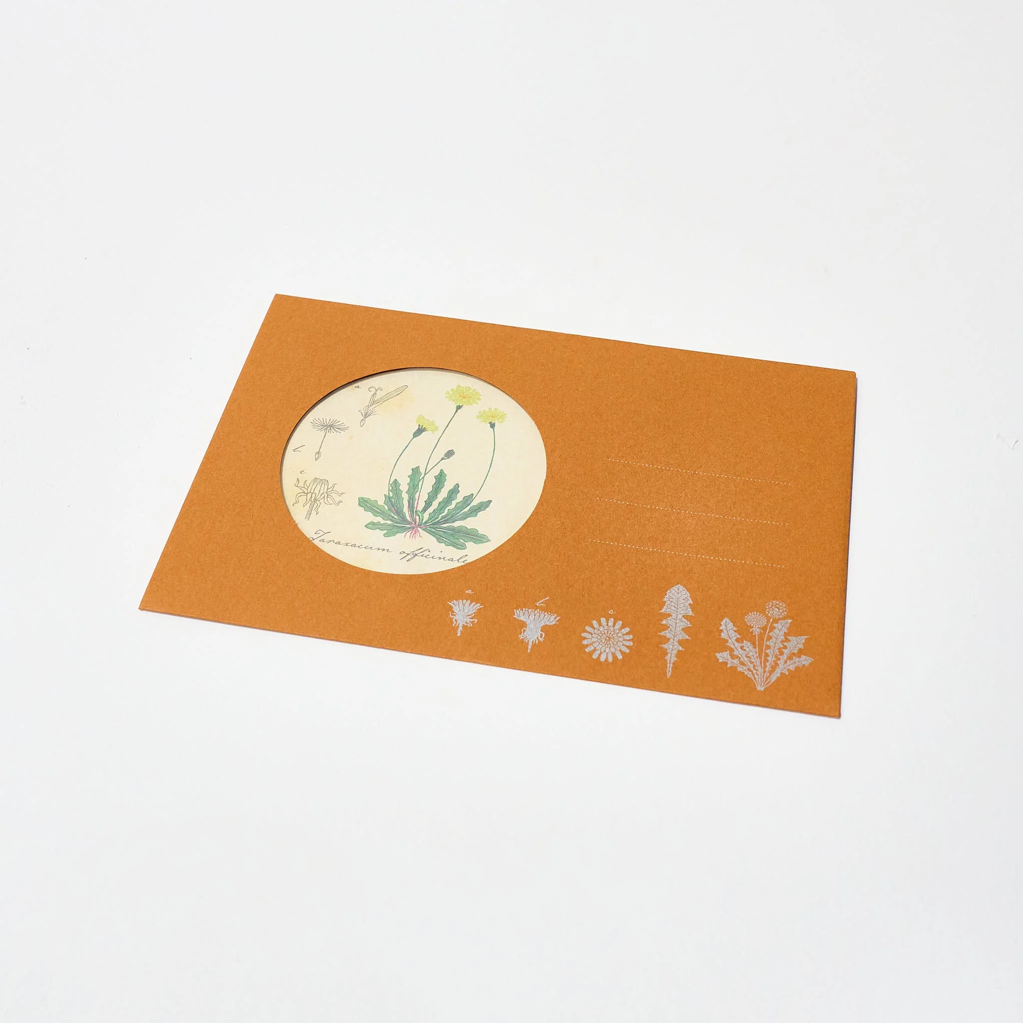 Botany STUDY HOLIC Bundle / GreenFlash - Image 3