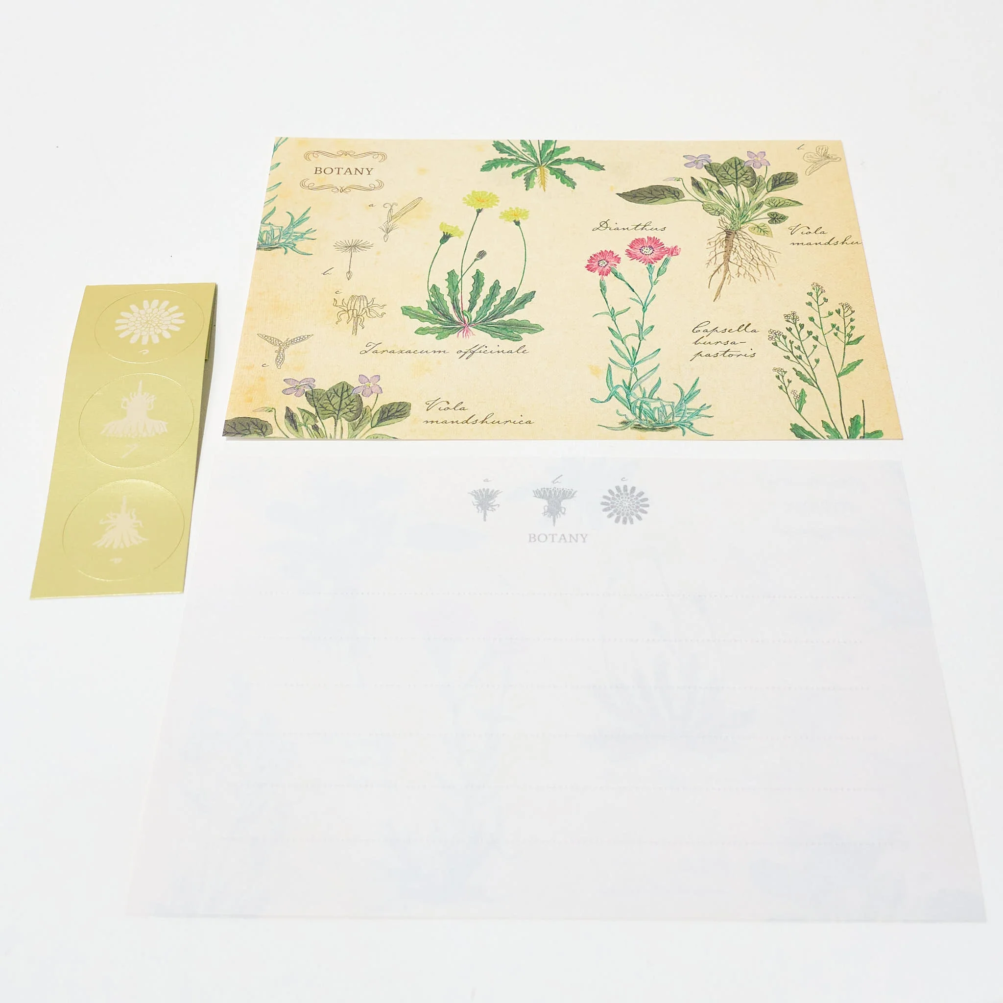 Botany STUDY HOLIC Bundle / GreenFlash - Image 4