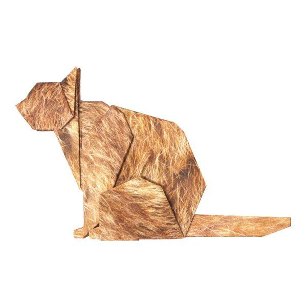 Cat Origami Set / Marumo Printing - Image 3