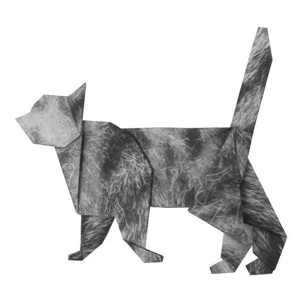 Cat Origami Set / Marumo Printing - Image 5