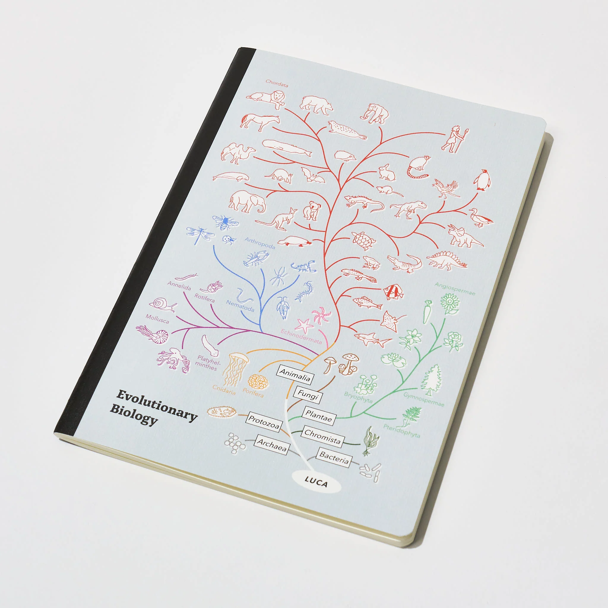 Evolutionary Biology STUDY HOLIC Bundle / GreenFlash - Image 2