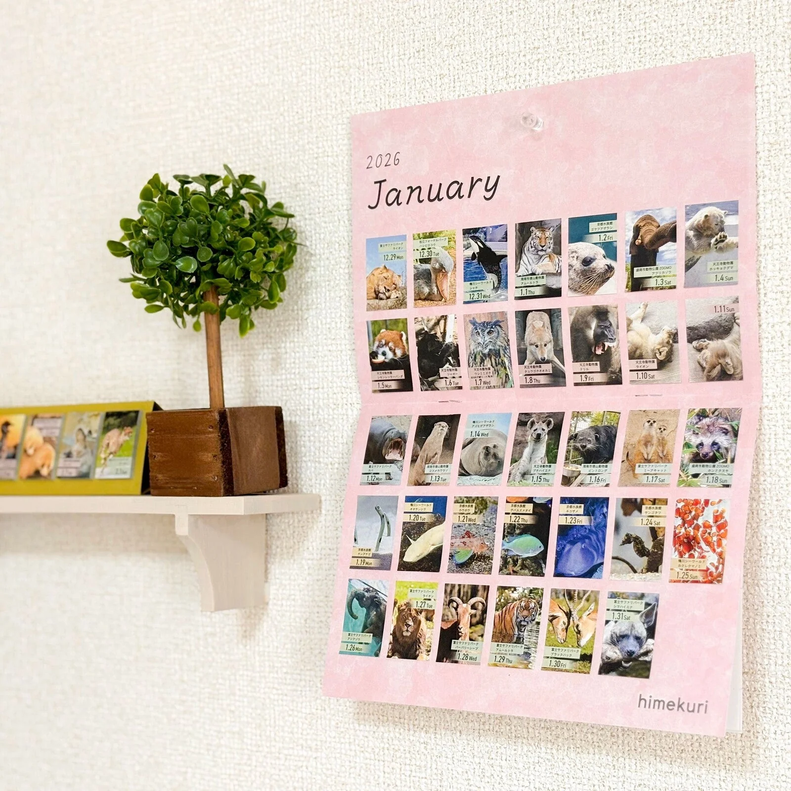 himekuri 2026 Mini Wall Calendar Mount Sheet / himekuri - Image 2