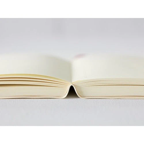 MD Notebook Diary 1 Day 1 Page 2026 / MIDORI - Image 7