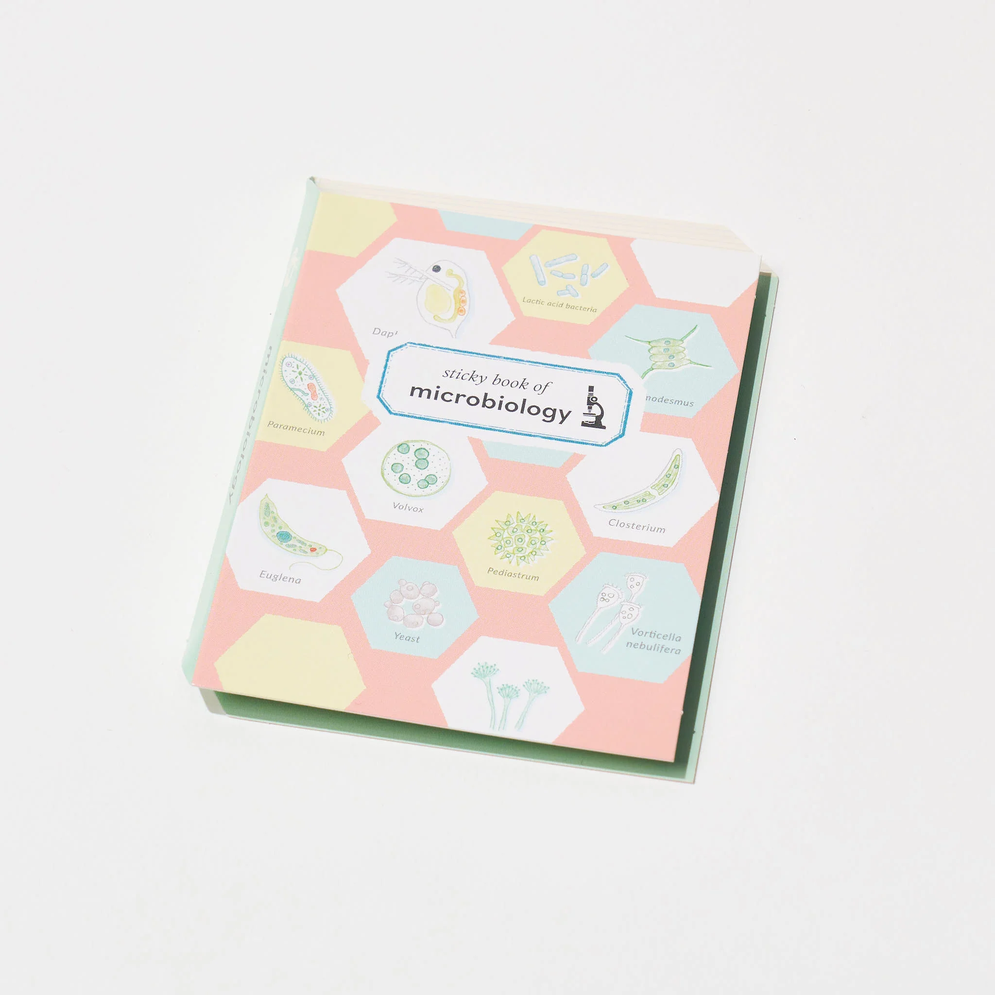 STUDY HOLIC Sticky Note Book / GreenFlash - Image 17