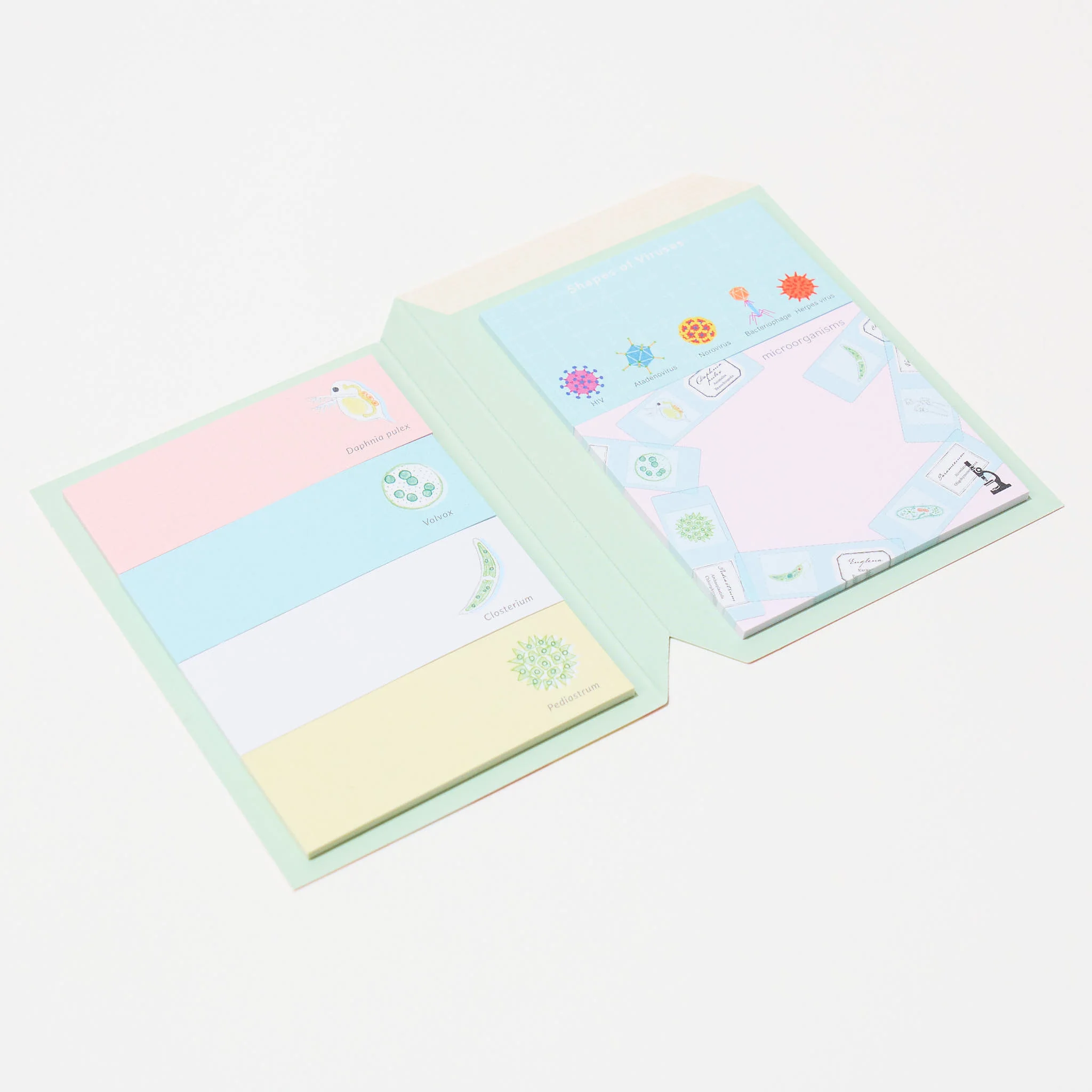 STUDY HOLIC Sticky Note Book / GreenFlash - Image 18
