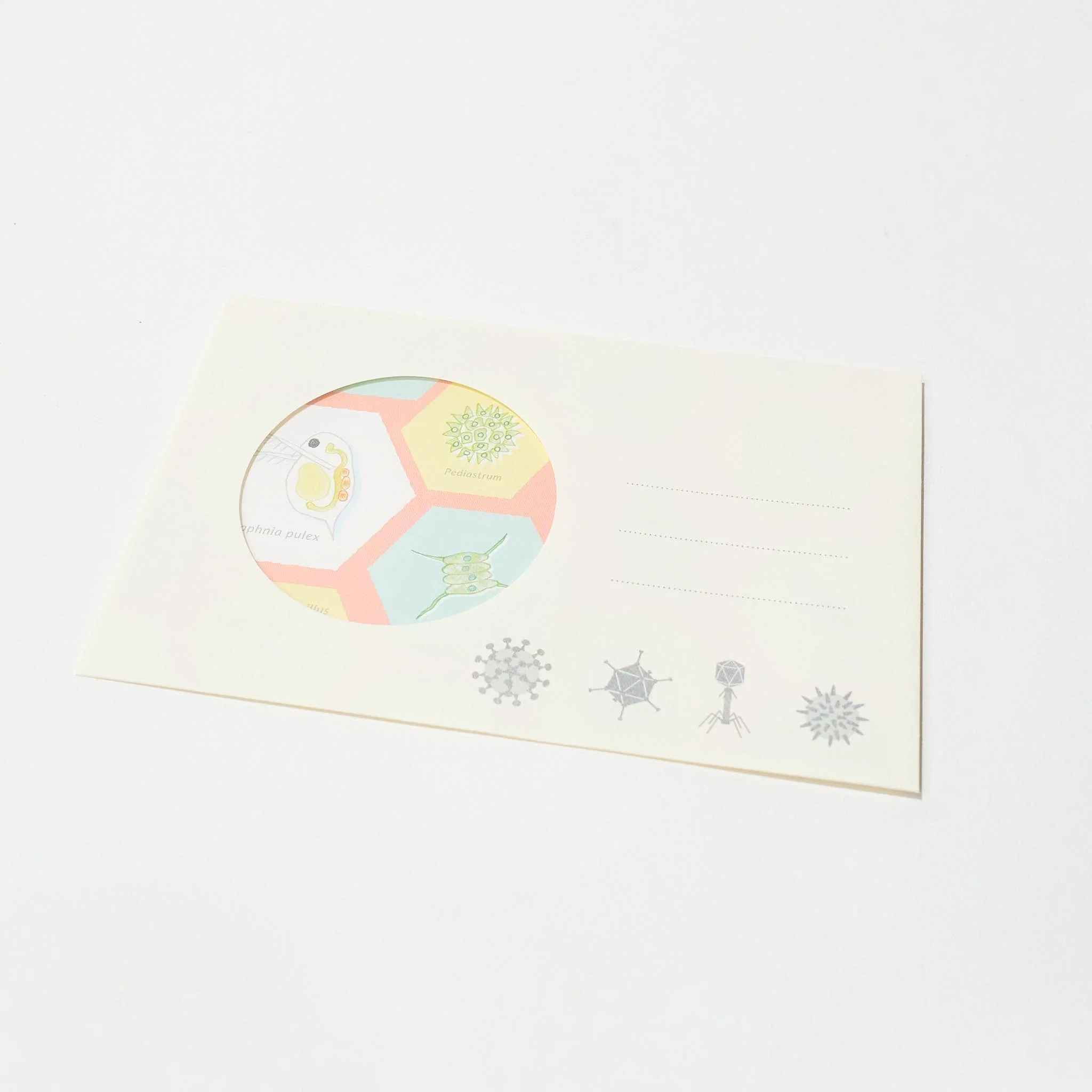 STUDY HOLIC Letter Set / GreenFlash - Image 5