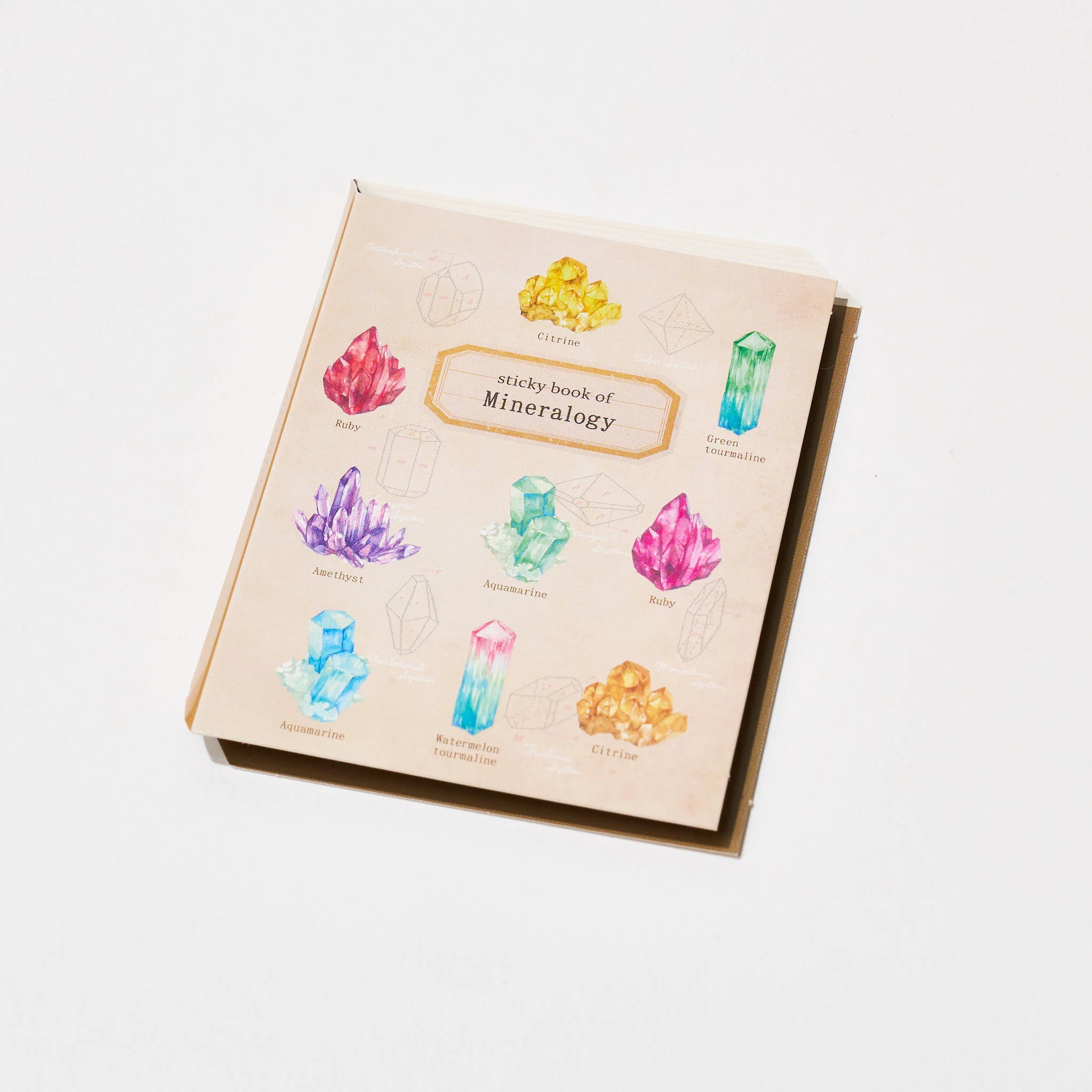 STUDY HOLIC Sticky Note Book / GreenFlash - Image 9