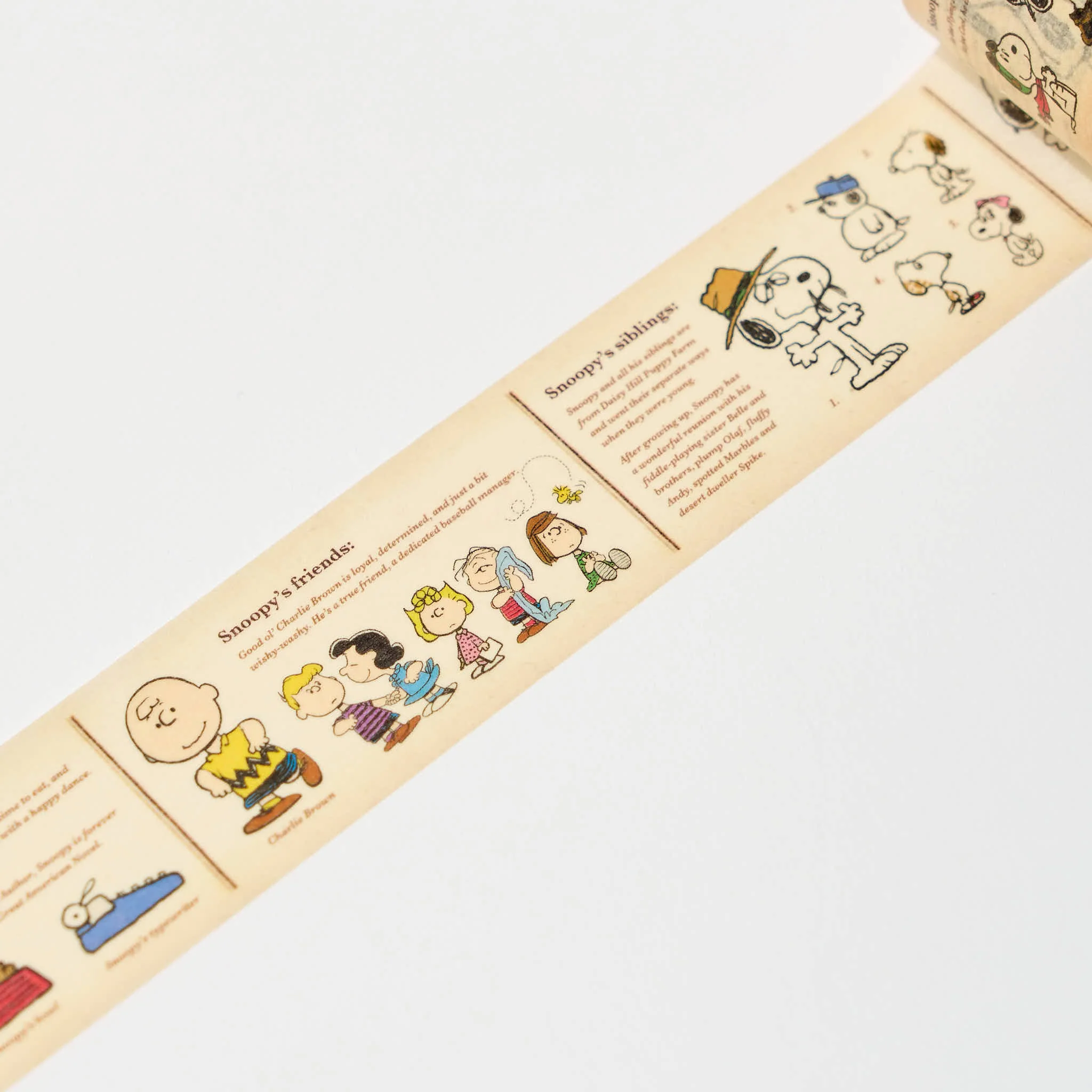 mt Peanuts Encyclopedia 30mm Masking Tape / Kamoi Kakoshi - Image 2