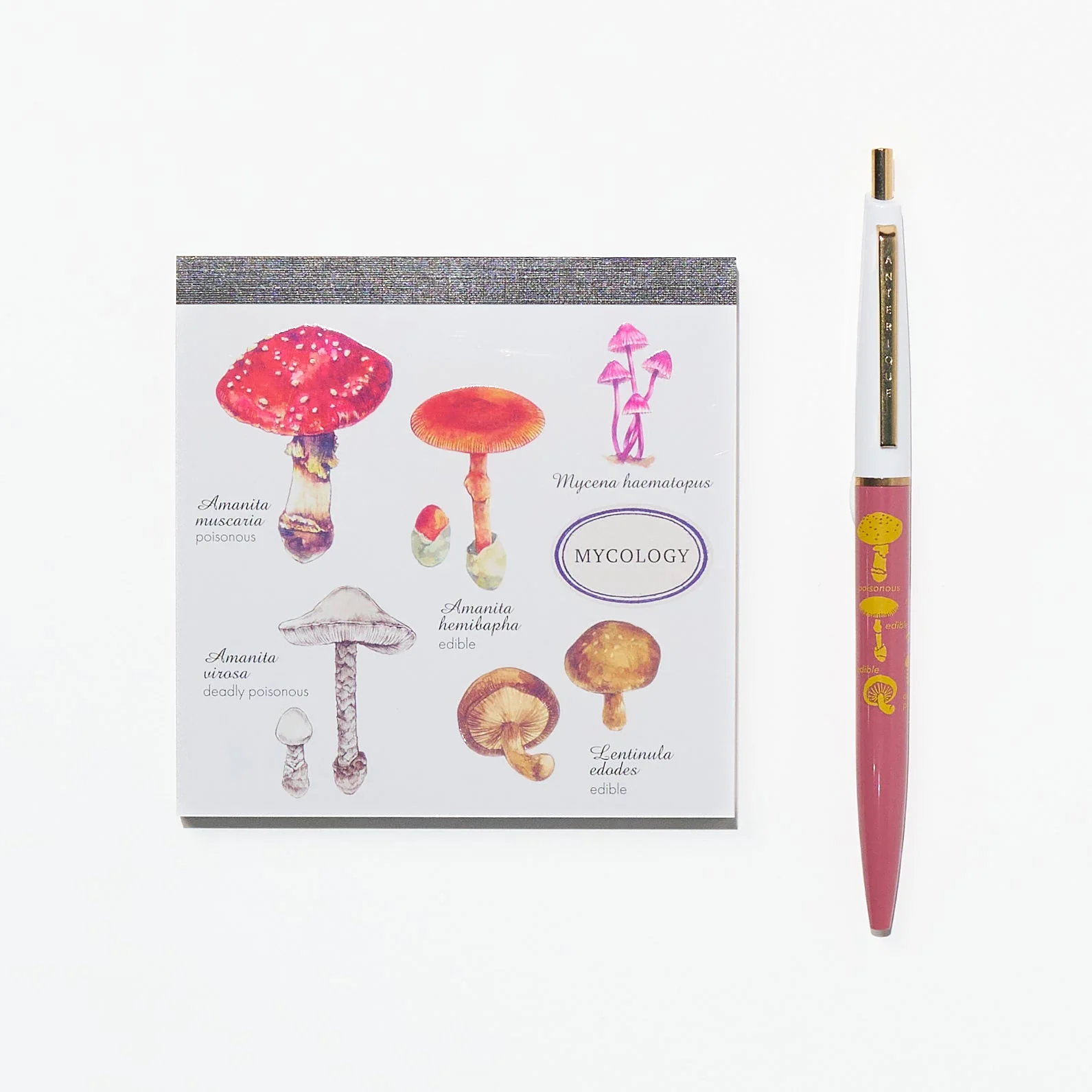 Mycology STUDY HOLIC Bundle / GreenFlash