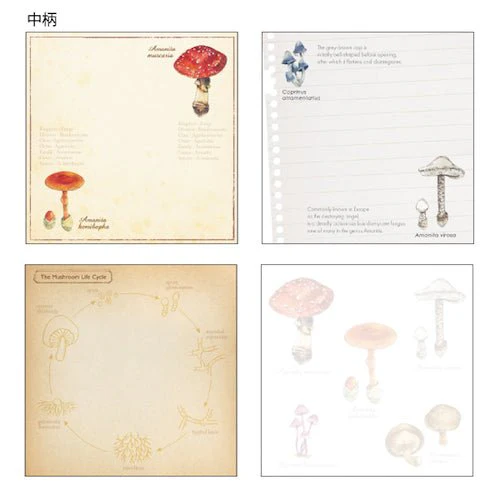 Mycology STUDY HOLIC Bundle / GreenFlash - Image 4