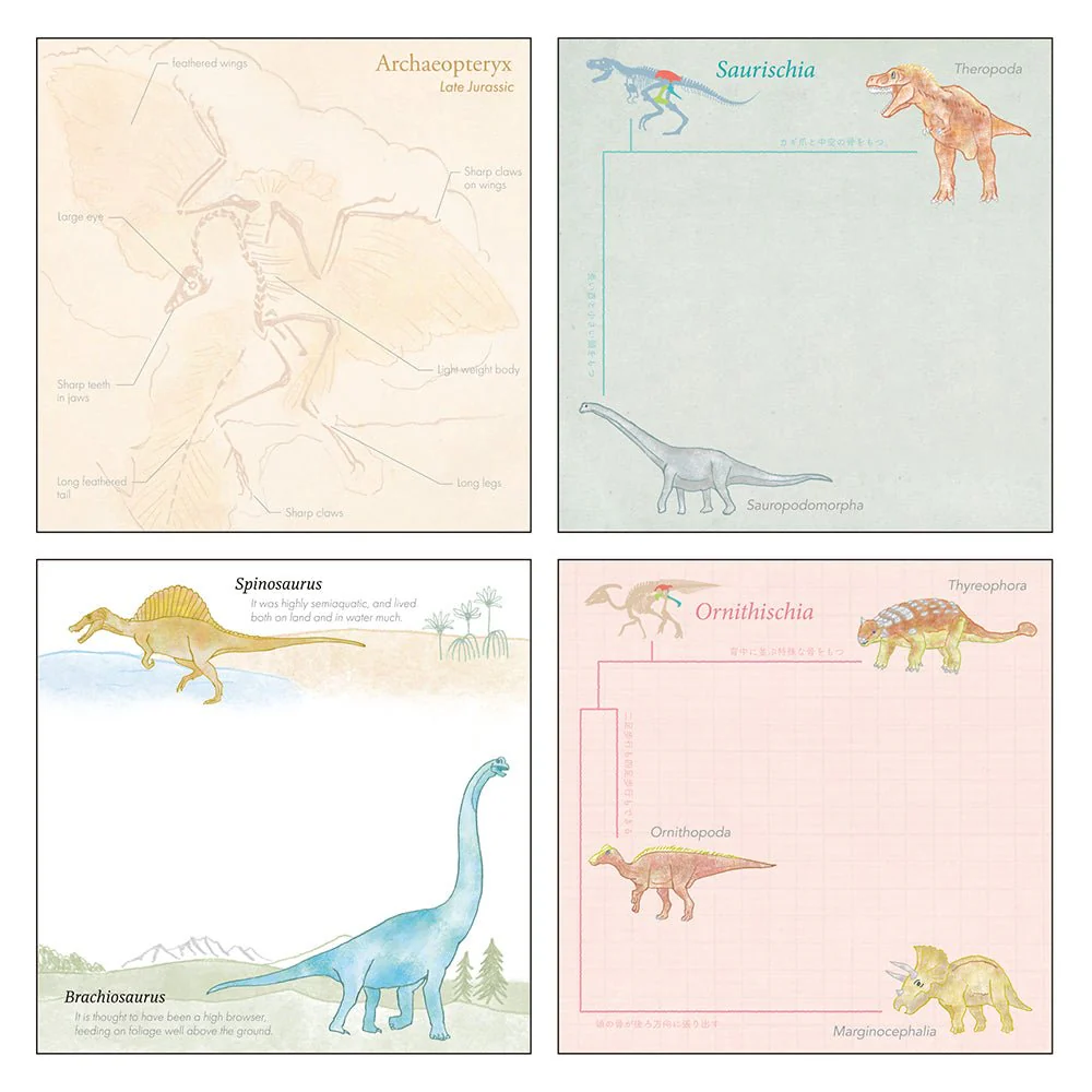 Paleontology STUDY HOLIC Bundle / GreenFlash - Image 10