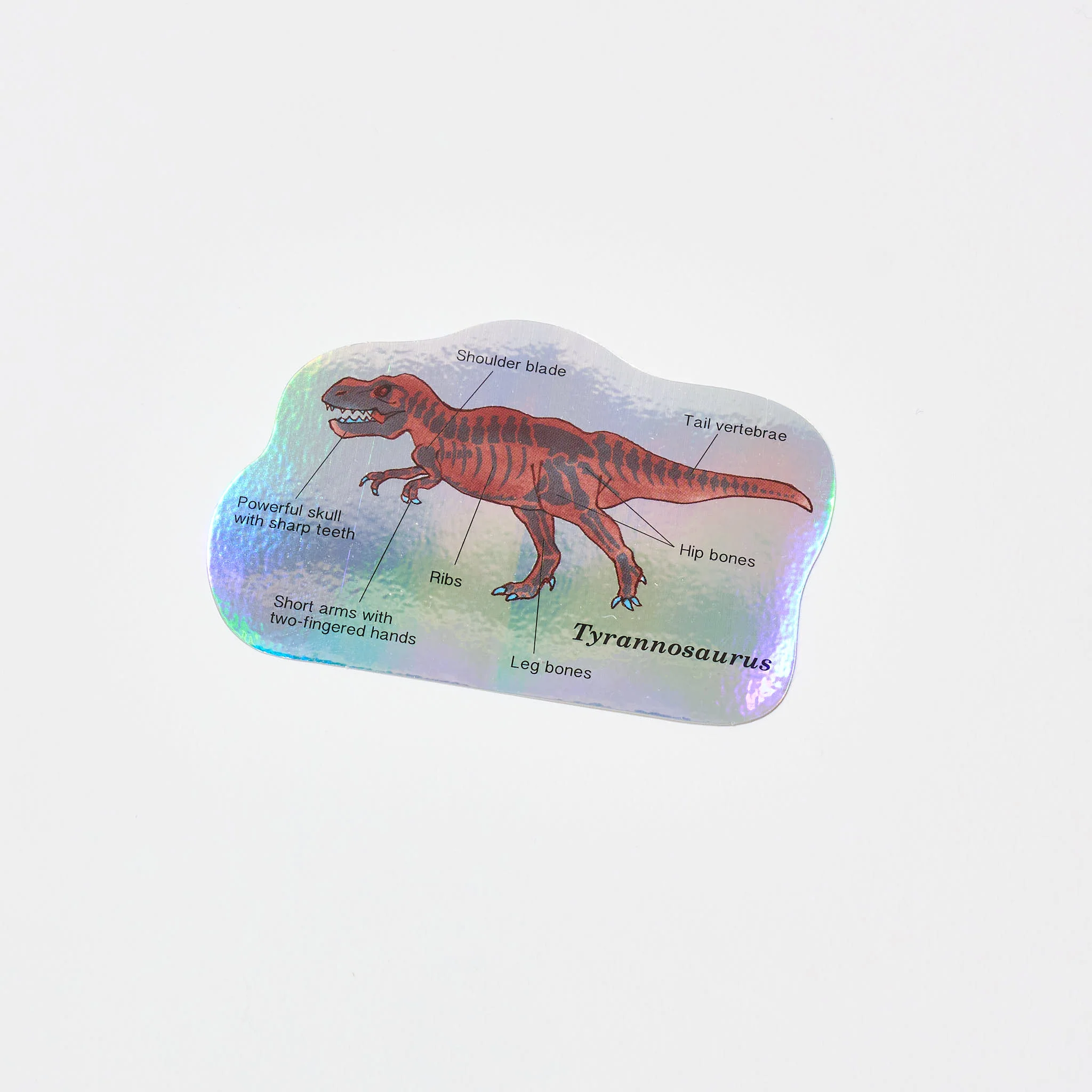 STUDY HOLIC Aurora Sticker / GreenFlash - Image 2