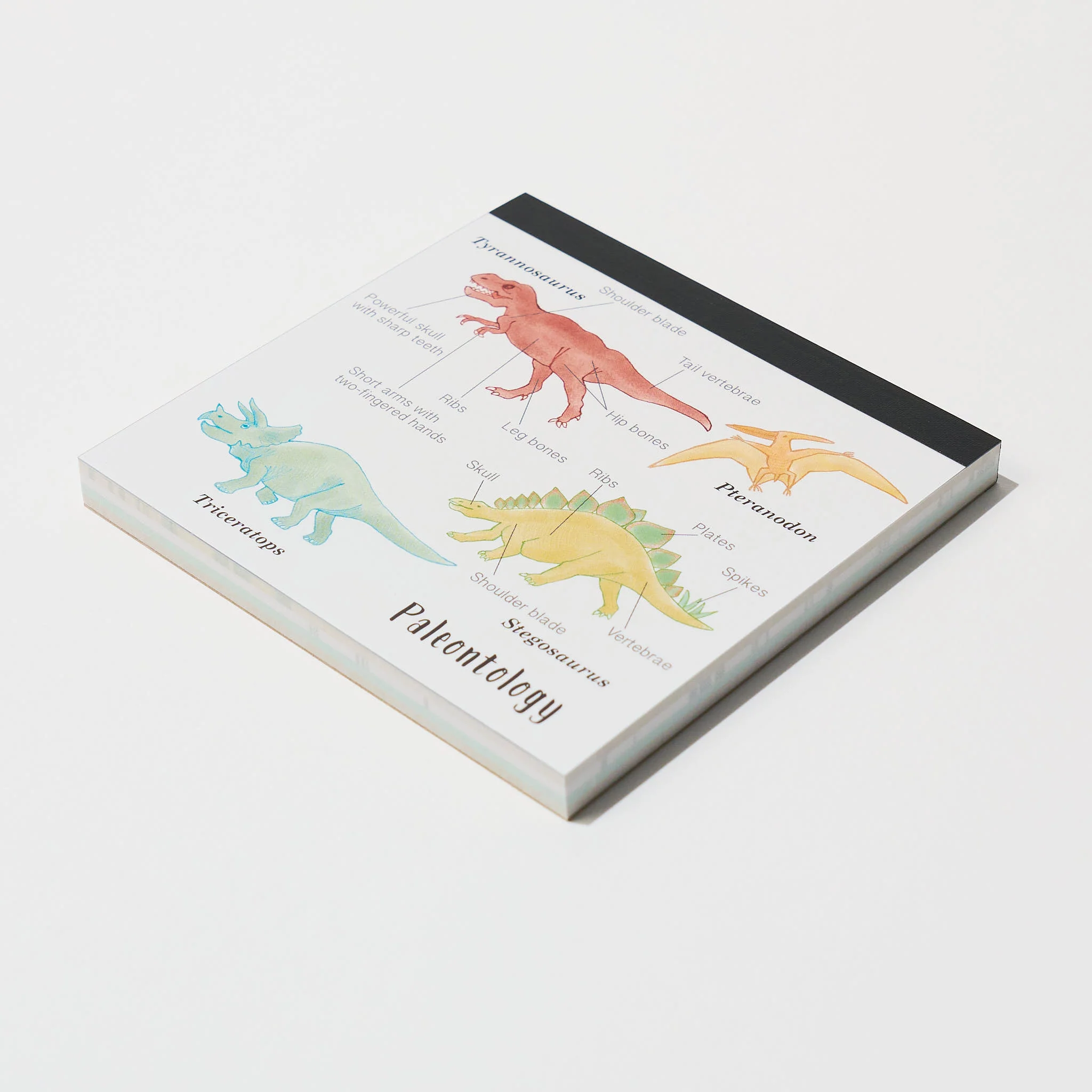 Paleontology STUDY HOLIC Bundle / GreenFlash - Image 7