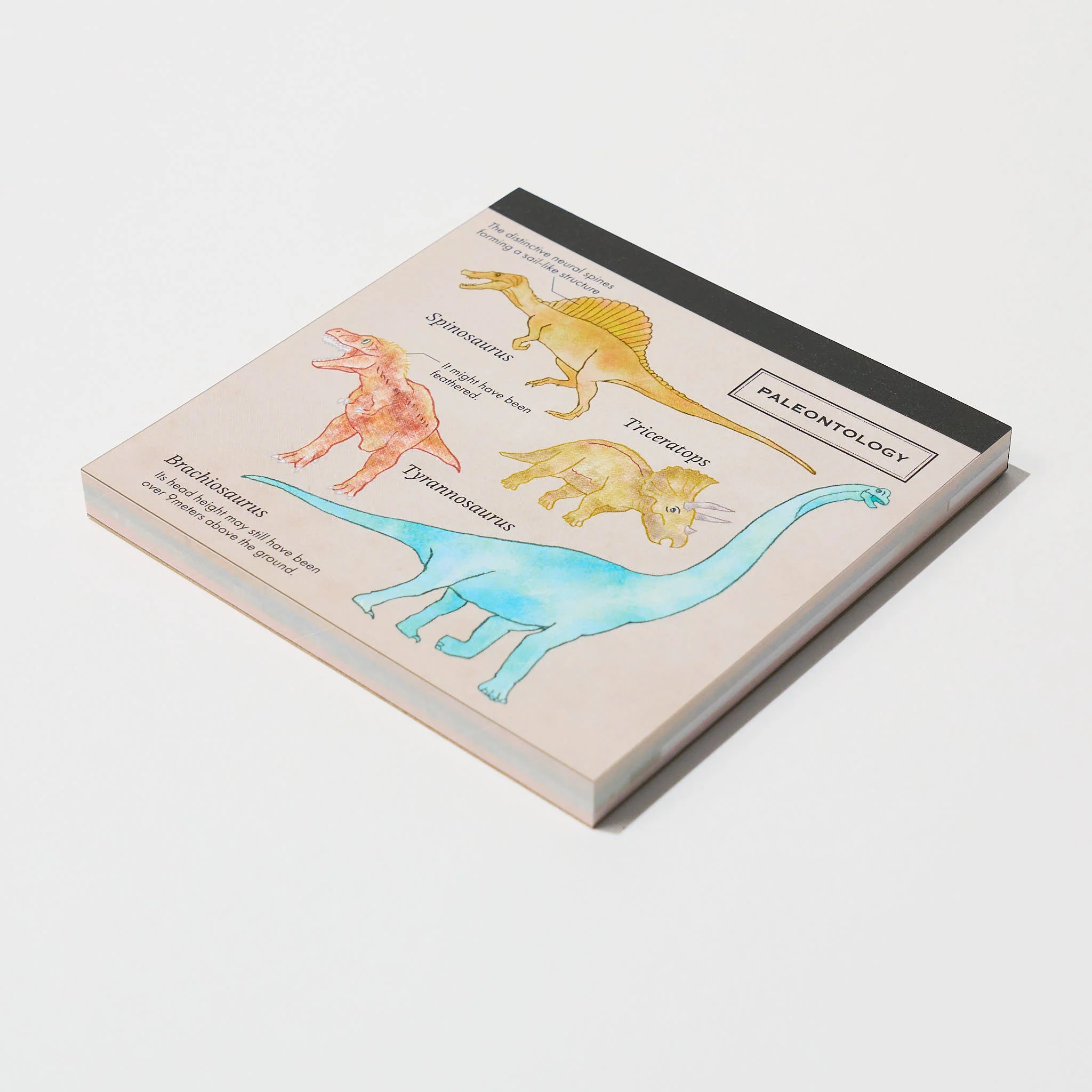 Paleontology STUDY HOLIC Bundle / GreenFlash - Image 9