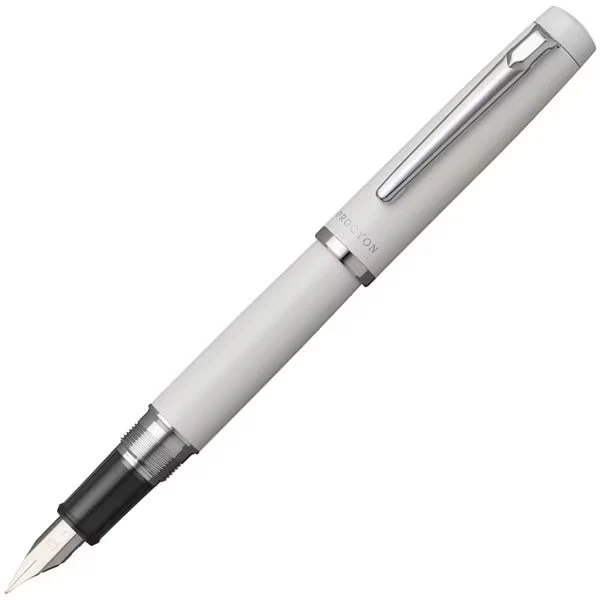 Procyon Dual-Purpose Fountain Pen / Platinum - Image 6