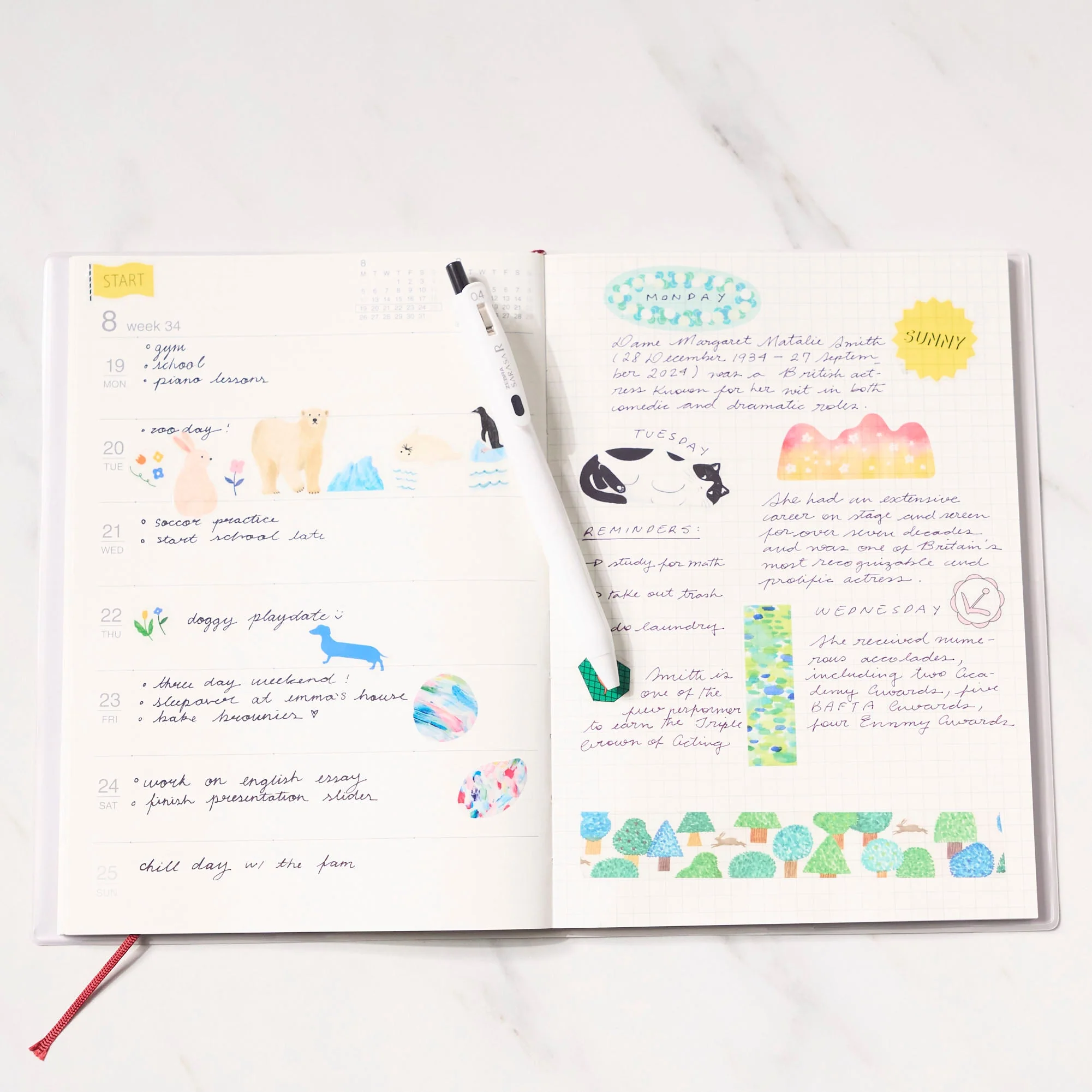 SODA Transparent Masking Tape 3rd Edition / KING JIM - Image 2