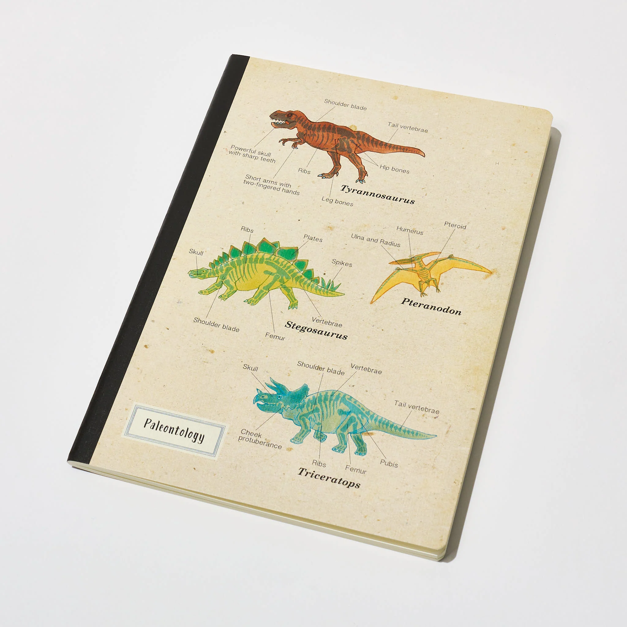 STUDY HOLIC A5 Notebook / GreenFlash