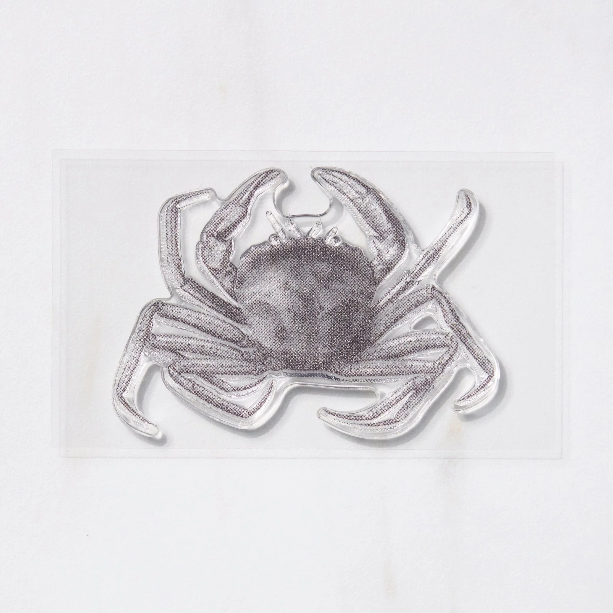 TO-MEI HAN Biology Stamps / tri-gram