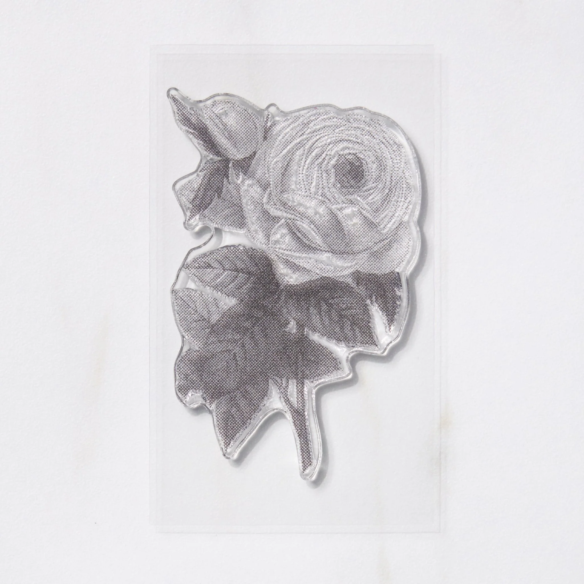 TO-MEI HAN Biology Stamps / tri-gram - Image 2