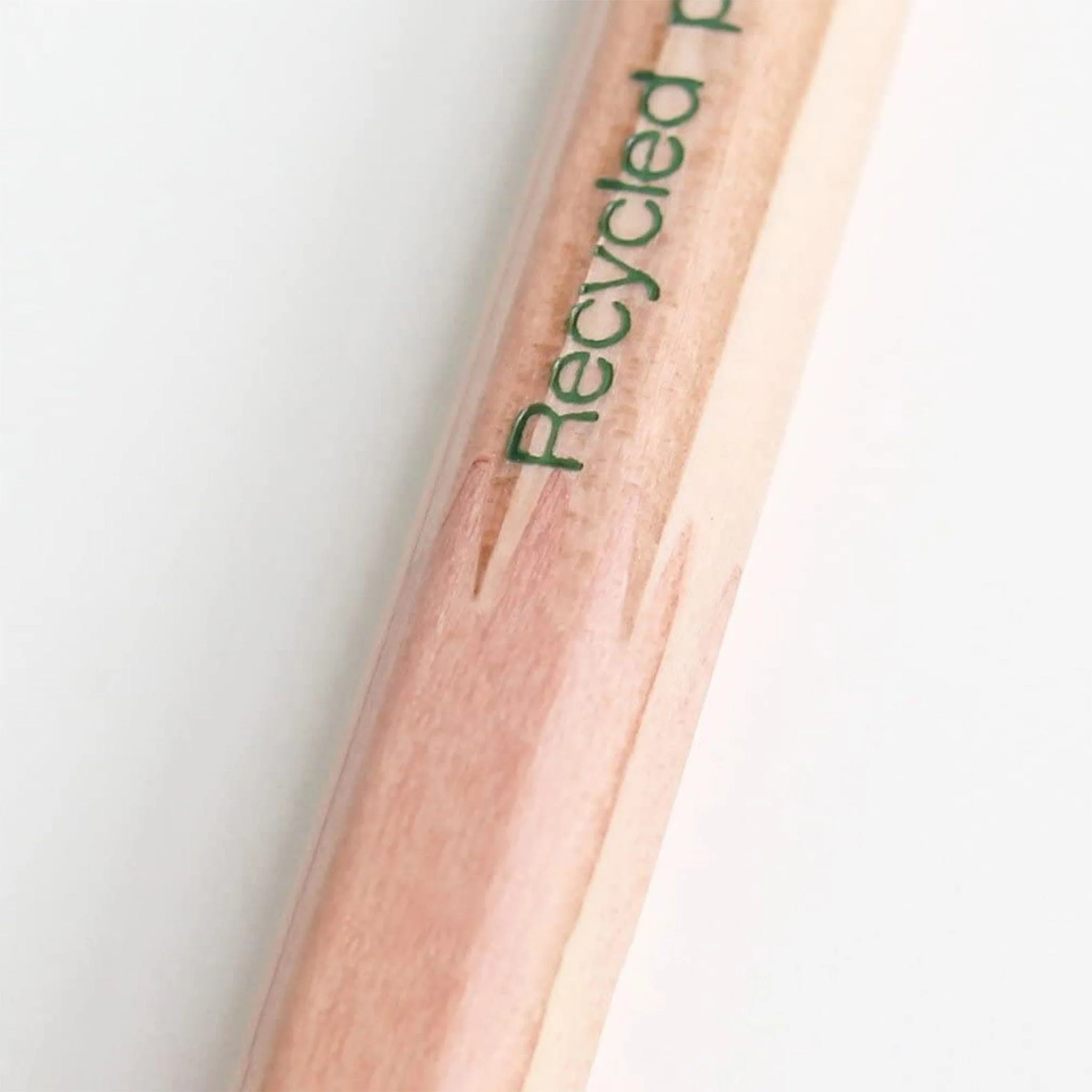 Story of Trees Wooden Pencils 1 Dozen Pack / Tombow - Image 4