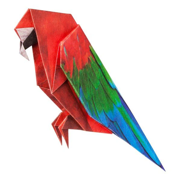 Tropical Bird Origami Sets / Marumo Printing - Image 12